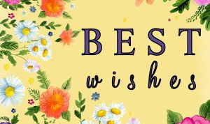 Best Online Shops for Minimalist Home Decor Products