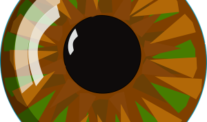 What to Look For When Buying a Used Mirrorless Camera