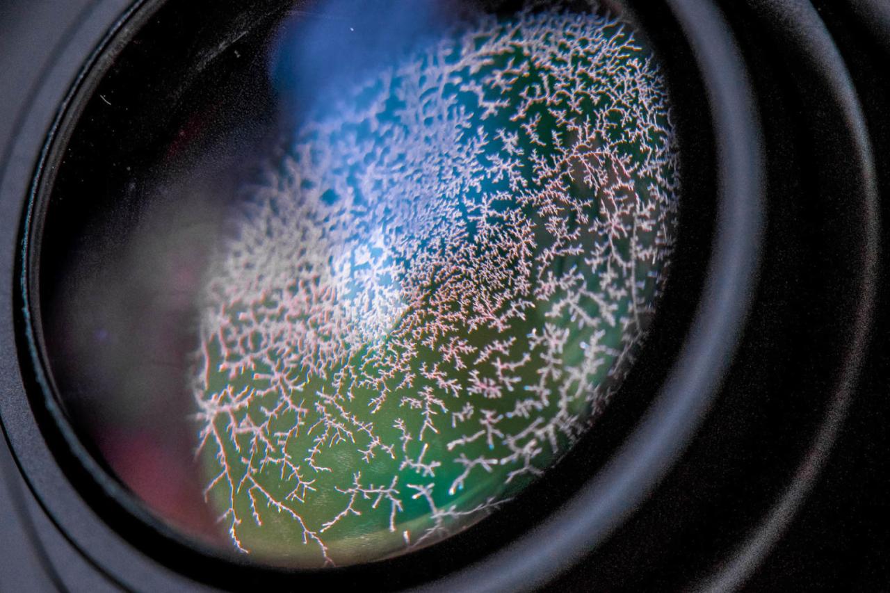 How to Inspect a Used Lens for Dust and Fungus Effectively