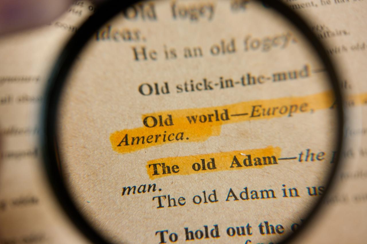 Where to Find Discounted Camera Accessories Online