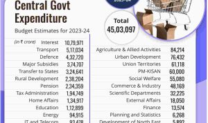 Budget-Friendly Camera Tripods for Sale Explore Top Choices