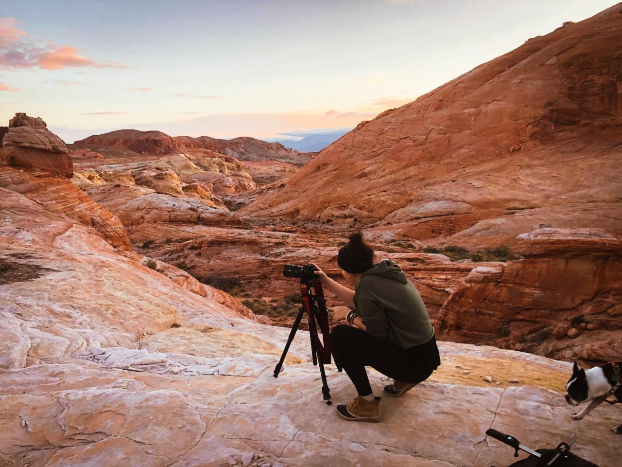 Photography camera gear for every aspiring photographer