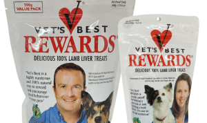 Best Camera Gear For Wildlife Photography Essentials