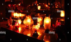 All Appliance Parts Of Bradenton Discover Quality Solutions All Appliance Parts Of Bradenton Discover Quality Solutions