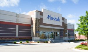 Asia Pacific Director Of Photography With Alexa Mini Camera Gear