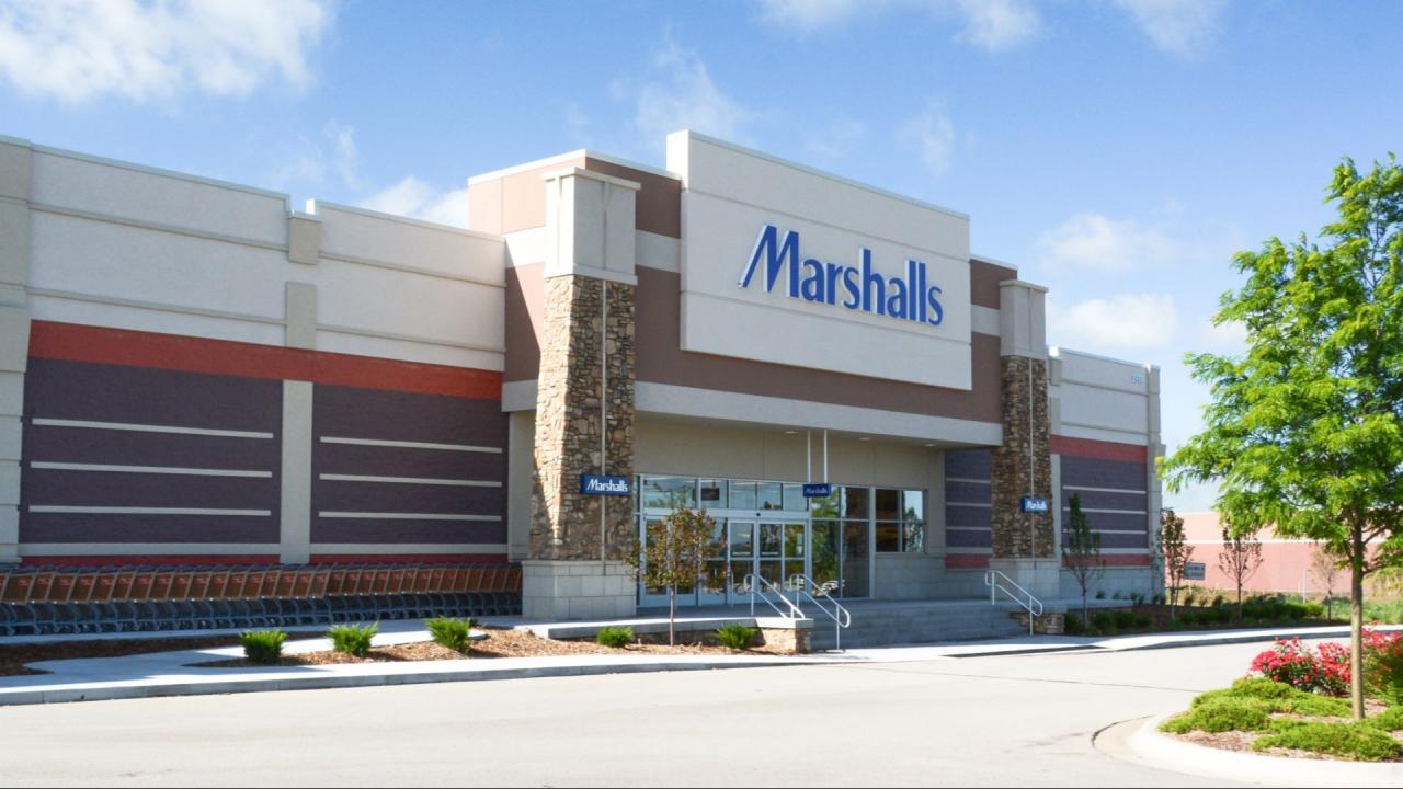 Asia Pacific Director Of Photography With Alexa Mini Camera Gear