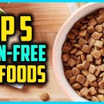 Grain-free Dog Food For A Healthier Lifestyle