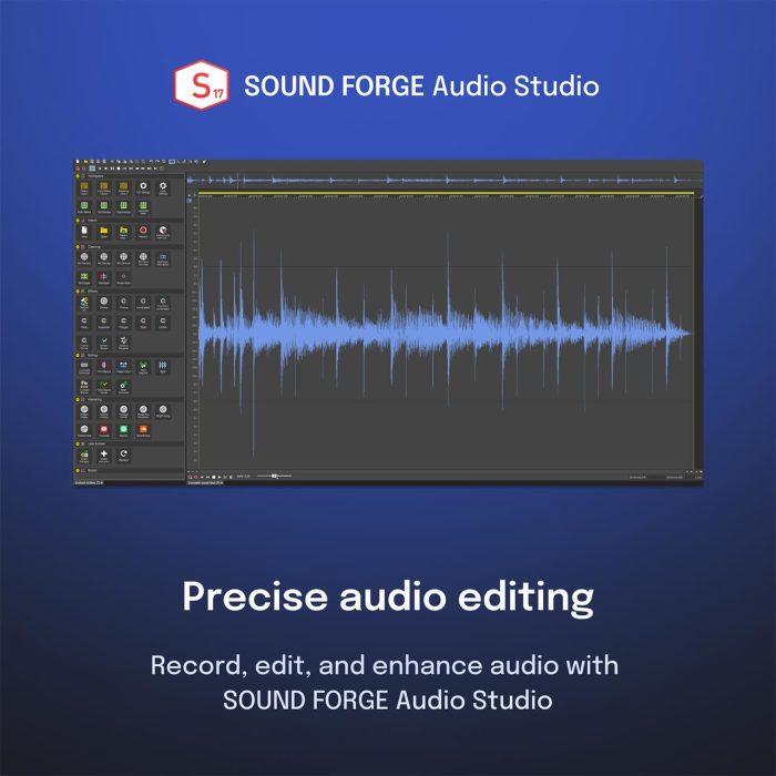 Vegas Pro 21 – Professional Video Production – MAGIX Unleashed