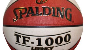 Spalding TF-1000 – Indoor Basketball – Spalding Review