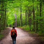 Outdoor Furniture Spartanburg Sc Latest Trends And Tips