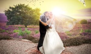 Wedding photography camera gear essentials for success