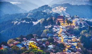 Places To Buy Used Appliances Near Me For Savings Places To Buy Used Appliances Near Me For Savings