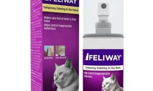 Feliway Optimum Diffuser Reviewing the Best Anti-Anxiety Pheromone Solution