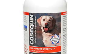 Nutramax Cosequin Joint Health Testing the Best Glucosamine Supplement for Seniors