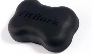 FitBark Dog Activity Monitor Testing the Best Fitness Tracker for Canine Health