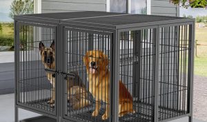 Frisco Heavy Duty Steel Crate Reviewing the Best Secure Training Kennel Design