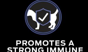 Purina Pro Plan FortiFlora Reviewing the Best Probiotic Supplement for Digestion