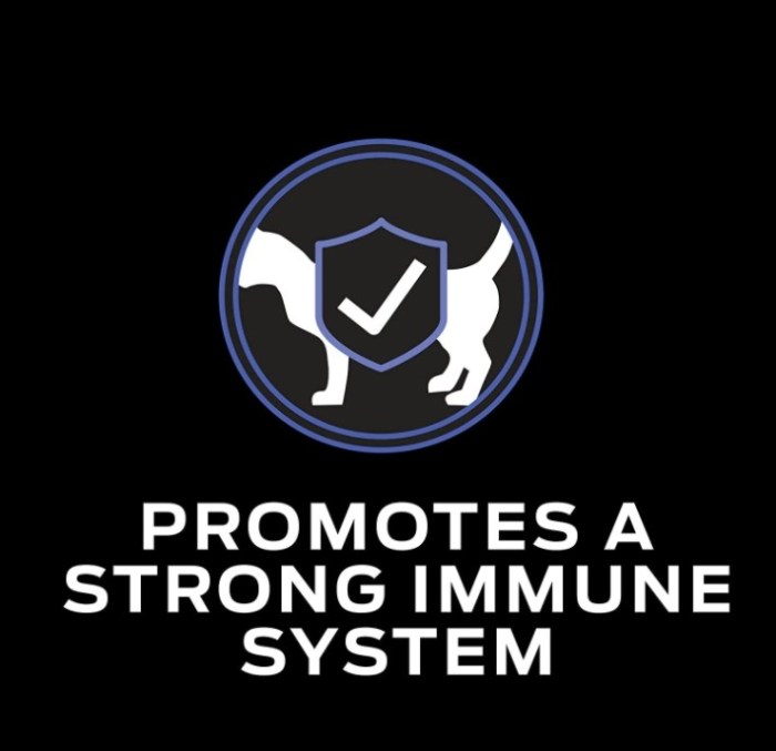 Purina Pro Plan FortiFlora Reviewing the Best Probiotic Supplement for Digestion