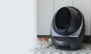 Whisker Litter-Robot 4 Testing the Ultimate Self-Cleaning Automatic Litter Box