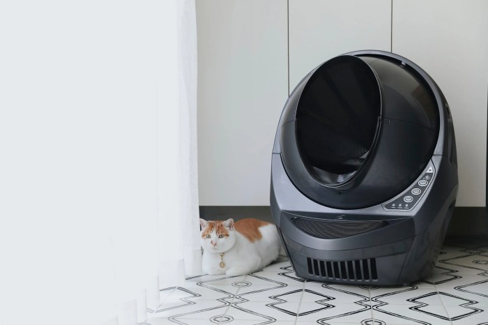 Whisker Litter-Robot 4 Testing the Ultimate Self-Cleaning Automatic Litter Box