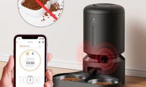 PetLibro Granary Automatic Feeder Testing the Triple-Seal Freshness Performance