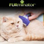 Furminator Undercoat Deshedding Tool Testing Professional Grooming Efficiency