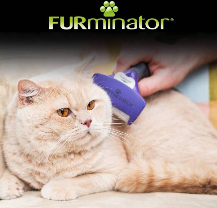Furminator Undercoat Deshedding Tool Testing Professional Grooming Efficiency