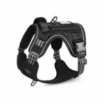 Rabbitgoo Tactical Dog Harness Testing the Best Duty Vest for Large Breeds