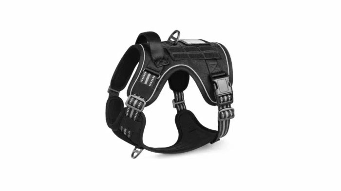 Rabbitgoo Tactical Dog Harness Testing the Best Duty Vest for Large Breeds