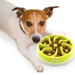 Outward Hound Fun Feeder Testing the Best Slow-Feeder Bowl for Fast Eaters