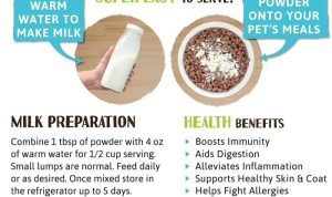 Raw Paws Frozen Raw Food Reviewing the Best Biological Diet Performance