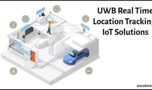 Tractive GPS Dog 4 Testing Real-Time Location Tracking Accuracy Performance