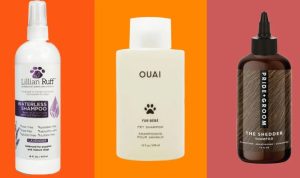 Burts Bees For Dogs Shampoo Reviewing the Best Natural Hypoallergenic Formula