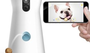 Furbo 360° Dog Camera Evaluating AI Treat Tossing System