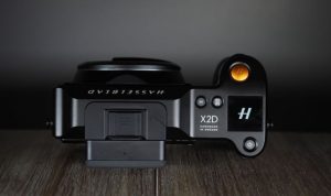 Hasselblad X2D 100C A Review of the Worlds Best Medium Format Color Science