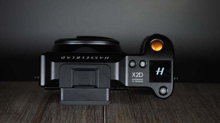 Hasselblad X2D 100C A Review of the Worlds Best Medium Format Color Science