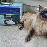 PetSafe Drinkwell Pagoda Evaluating Ceramic Design and Water Filtration Quality