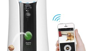 Skymee Owl Robot Testing the Interactive Mobile Camera and Treat Dispenser