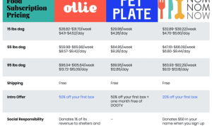 Nom Nom Fresh Pet Food Reviewing Personalized Nutrition and Ingredient Quality