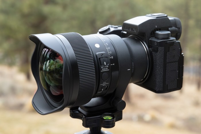 Sigma 35mm f/1.4 DG DN Art Reviewing the Sharpest Prime Lens for Sony E-Mount