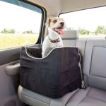 Snoozer Lookout Car Seat Testing the Best Elevated Travel Comfort for Dogs