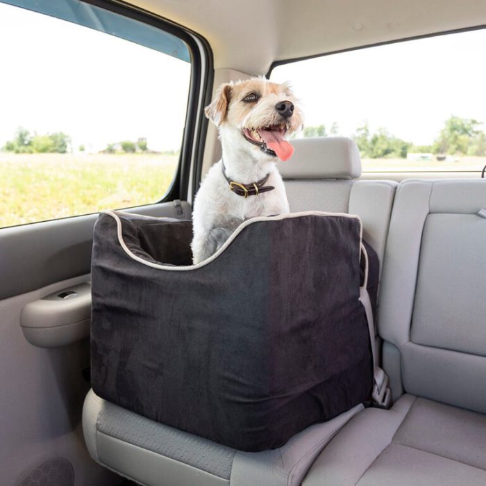Snoozer Lookout Car Seat Testing the Best Elevated Travel Comfort for Dogs