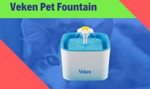 Drinkwell Platinum Pet Fountain Evaluating the Best Filtered Water System for Cats