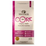 Wellness CORE Grain-Free Reviewing the Best High-Protein Dry Food Performance