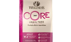 Wellness CORE Grain-Free Reviewing the Best High-Protein Dry Food Performance