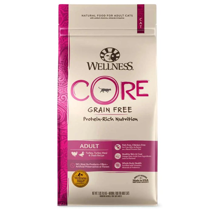 Wellness CORE Grain-Free Reviewing the Best High-Protein Dry Food Performance