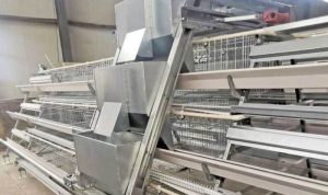 Catspad Smart Bowl Testing the Automated Portion-Control Feeding System