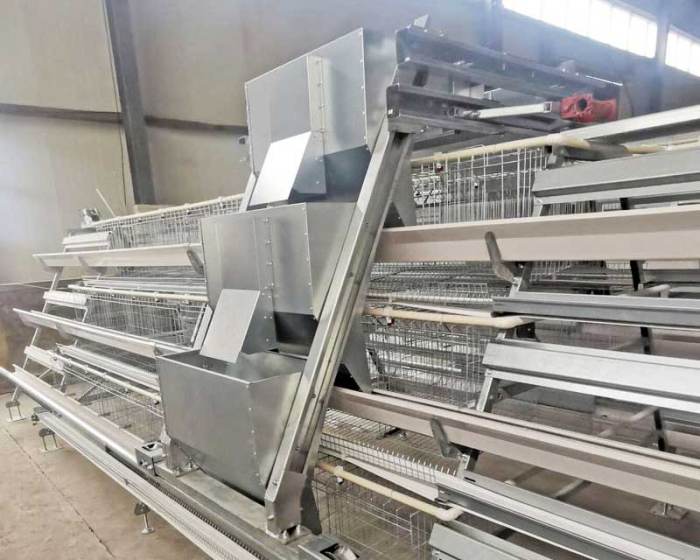 Catspad Smart Bowl Testing the Automated Portion-Control Feeding System