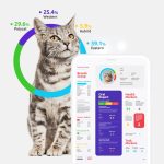 Basepaws Cat DNA Kit Reviewing the Most Comprehensive Health and Breed Analysis