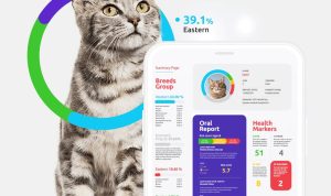 Basepaws Cat DNA Kit Reviewing the Most Comprehensive Health and Breed Analysis
